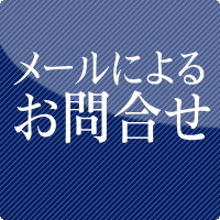 文理ゼミ　メール問合わせ